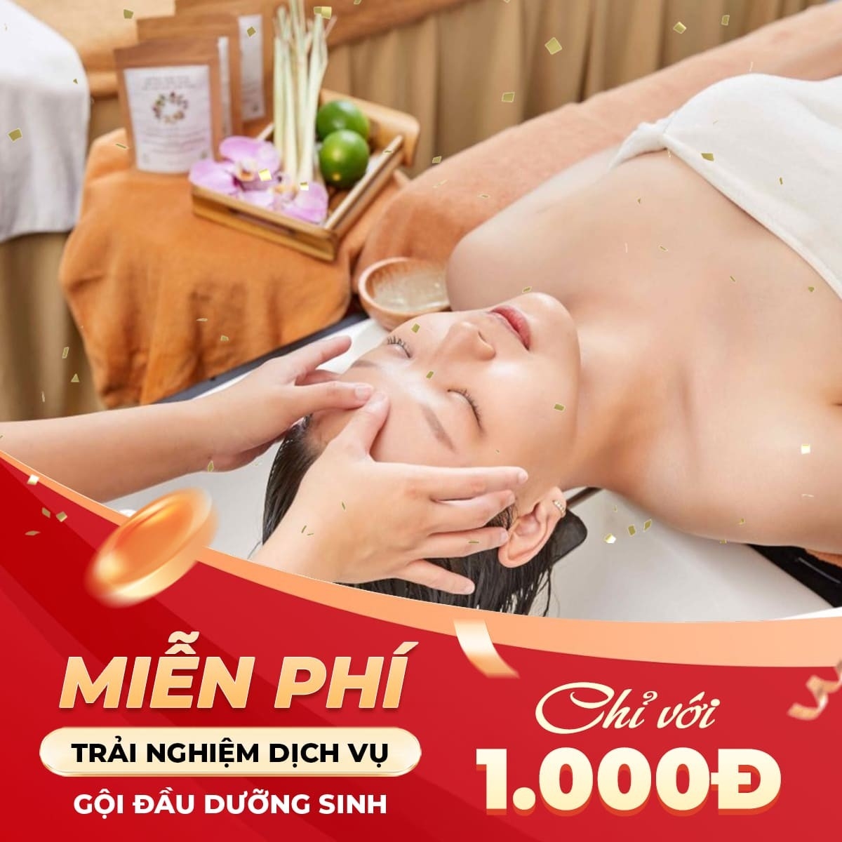 Miễn phí trải nghiệm dịch vụ gội đầu dưỡng sinh