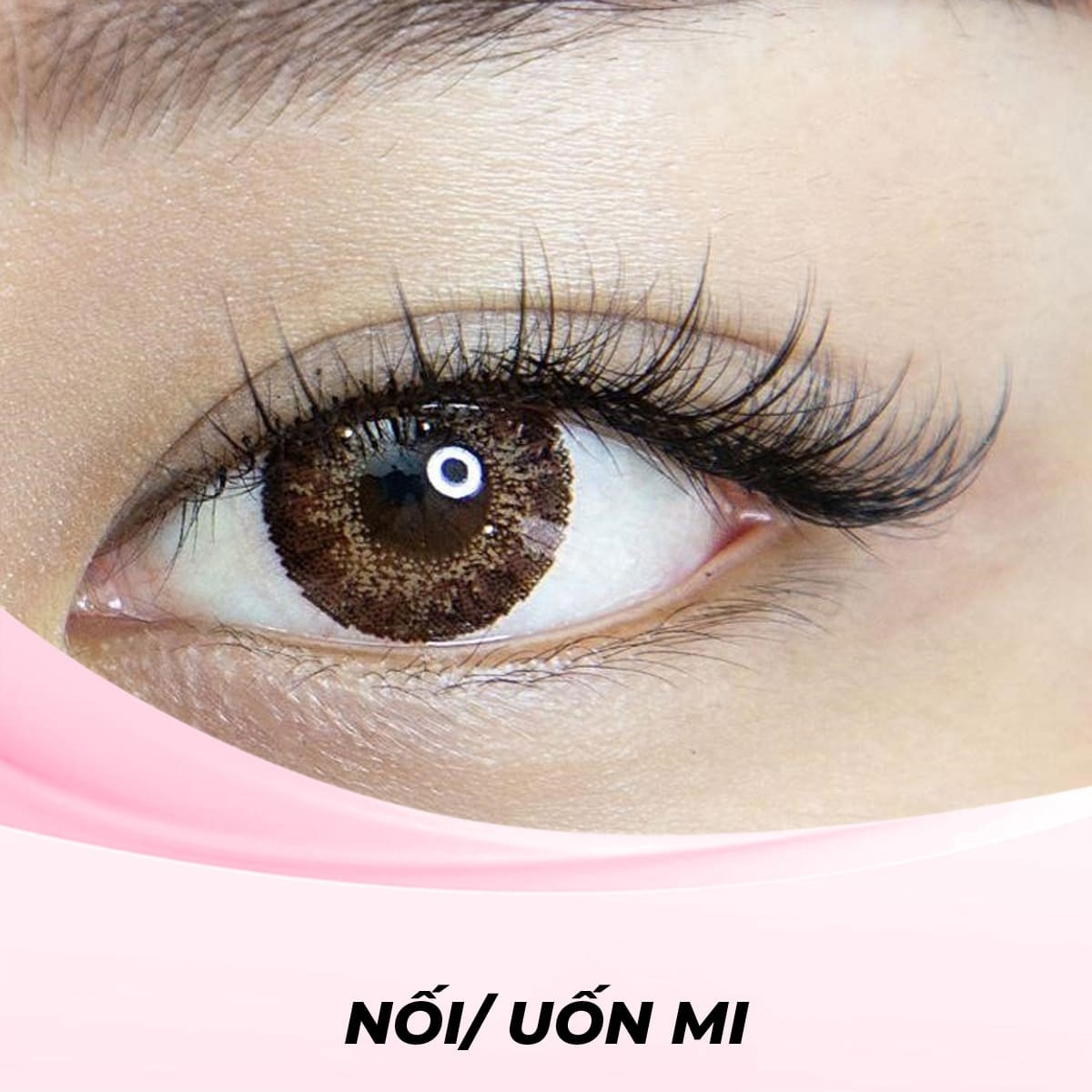 Nối Mi Đuôi Cá