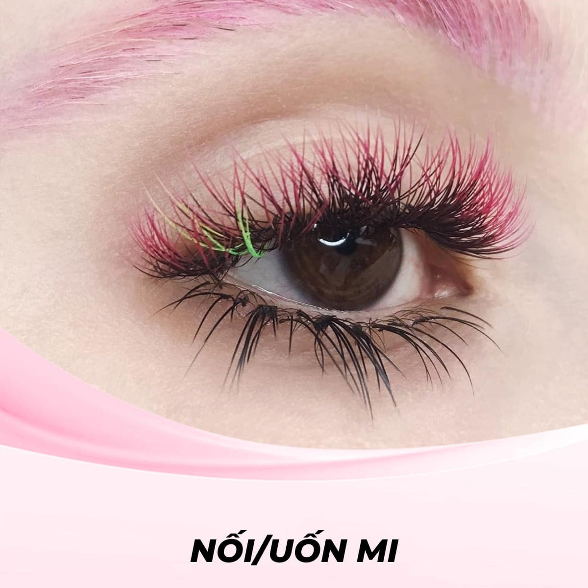Nối mi kết hợp với nhuộm màu sáng (Lash Extension with Light Tint)